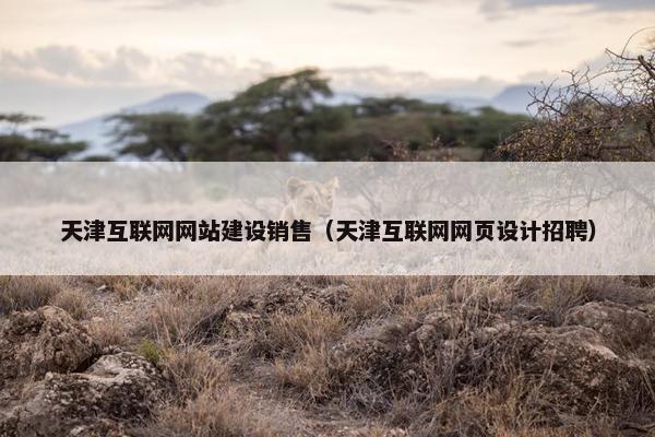 天津互联网网站建设销售（天津互联网网页设计招聘）
