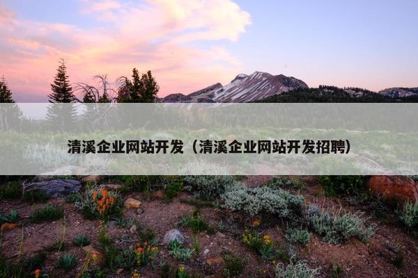 清溪企业网站开发（清溪企业网站开发招聘）