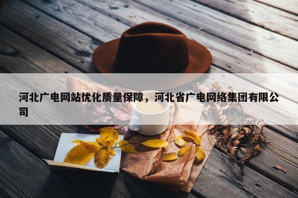 河北广电网站优化质量保障，河北省广电网络集团有限公司