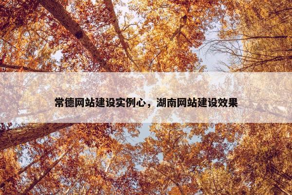 常德网站建设实例心，湖南网站建设效果