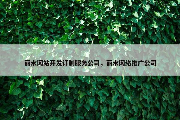 丽水网站开发订制服务公司，丽水网络推广公司