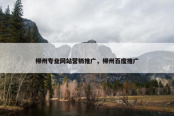 柳州专业网站营销推广，柳州百度推广
