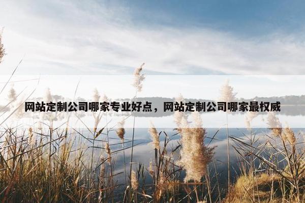 网站定制公司哪家专业好点，网站定制公司哪家最权威