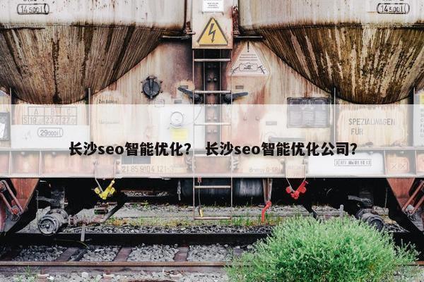 长沙seo智能优化？ 长沙seo智能优化公司？