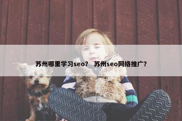 苏州哪里学习seo？ 苏州seo网络推广？