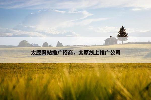 太原网站推广招商，太原线上推广公司