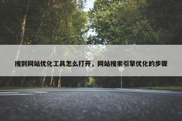 搜到网站优化工具怎么打开，网站搜索引擎优化的步骤