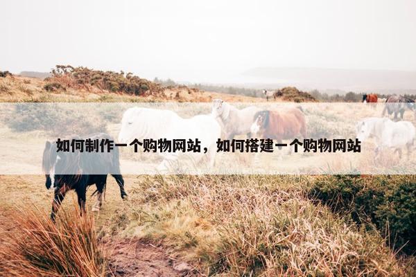 如何制作一个购物网站，如何搭建一个购物网站