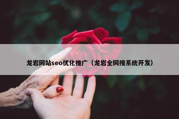 龙岩网站seo优化推广（龙岩全网搜系统开发）