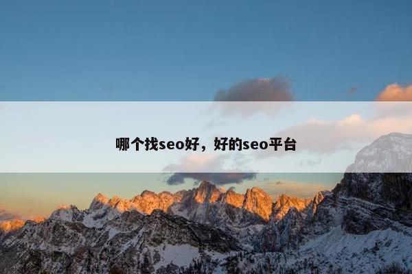 哪个找seo好，好的seo平台