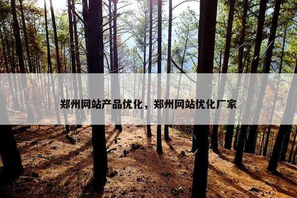 郑州网站产品优化，郑州网站优化厂家