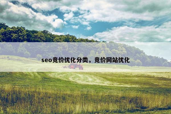 seo竞价优化分类，竞价网站优化