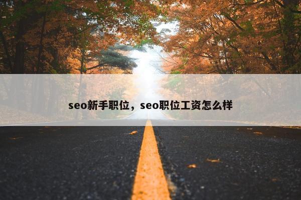 seo新手职位，seo职位工资怎么样