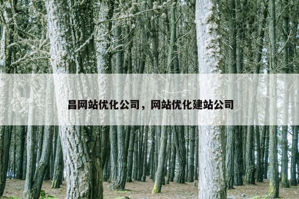 昌网站优化公司，网站优化建站公司