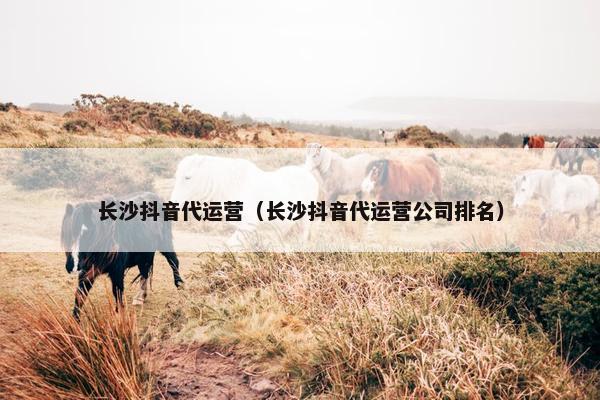 长沙抖音代运营（长沙抖音代运营公司排名）