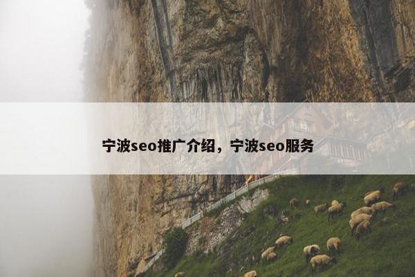 宁波seo推广介绍，宁波seo服务
