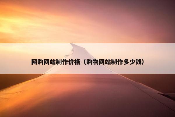 网购网站制作价格（购物网站制作多少钱）