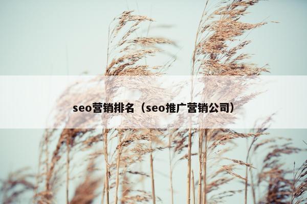 seo营销排名（seo推广营销公司）