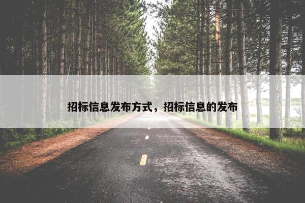 招标信息发布方式，招标信息的发布