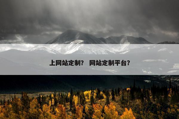 上网站定制？ 网站定制平台？