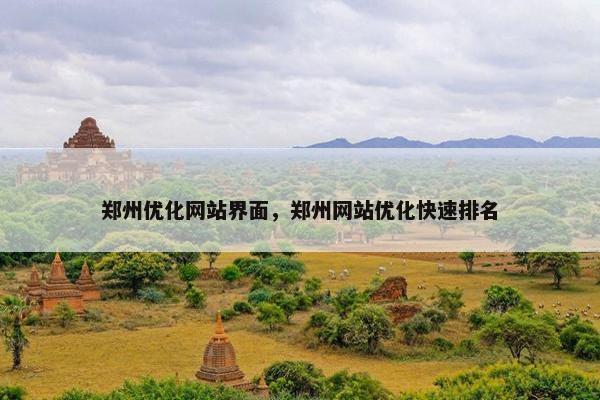 郑州优化网站界面，郑州网站优化快速排名