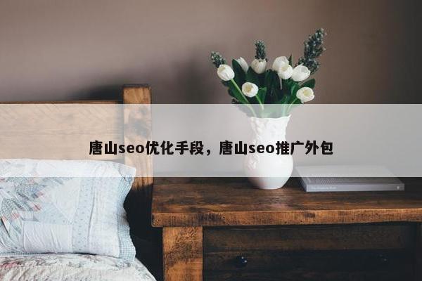 唐山seo优化手段，唐山seo推广外包