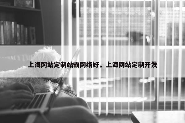 上海网站定制站霸网络好，上海网站定制开发