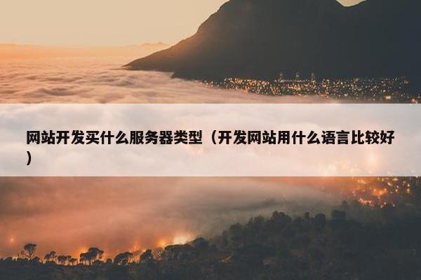 网站开发买什么服务器类型（开发网站用什么语言比较好）