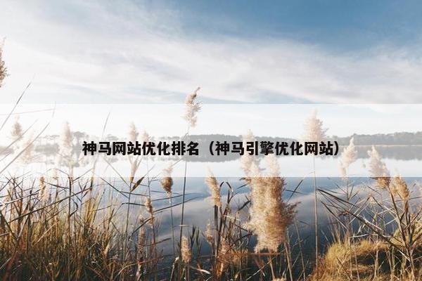 神马网站优化排名（神马引擎优化网站）