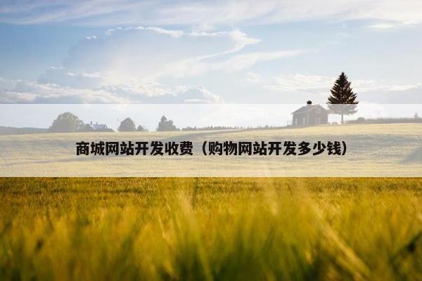 商城网站开发收费（购物网站开发多少钱）