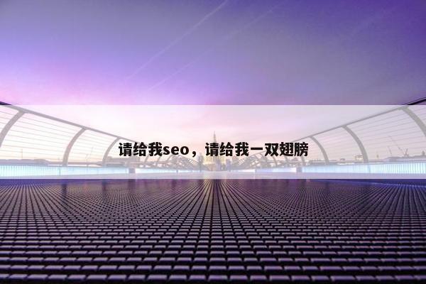 请给我seo，请给我一双翅膀