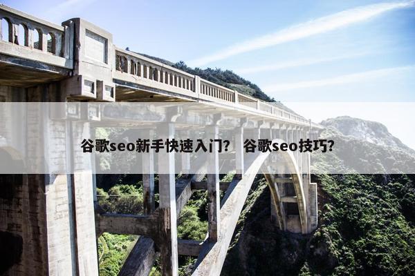 谷歌seo新手快速入门？ 谷歌seo技巧？