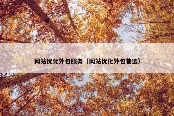 网站优化外包服务（网站优化外包首选）