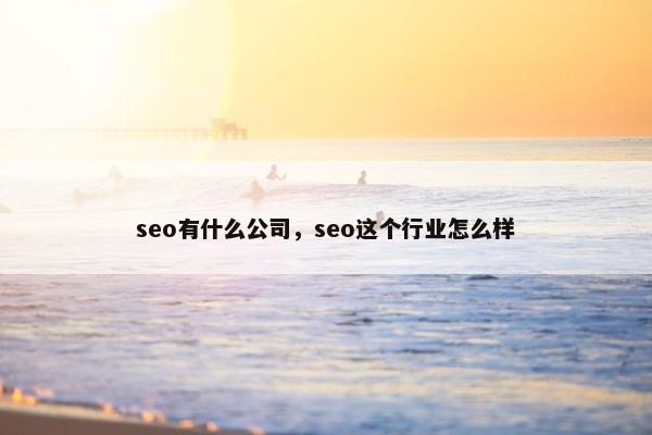 seo有什么公司，seo这个行业怎么样