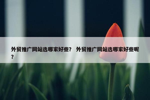 外贸推广网站选哪家好些？ 外贸推广网站选哪家好些呢？