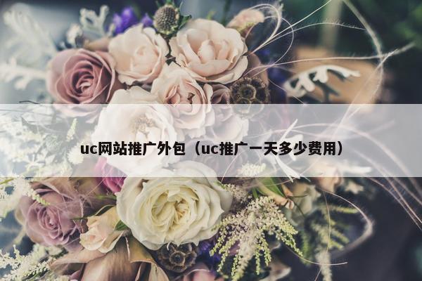 uc网站推广外包（uc推广一天多少费用）