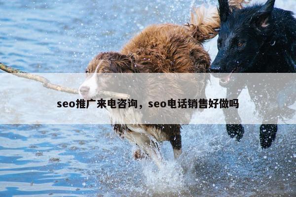 seo推广来电咨询，seo电话销售好做吗