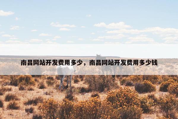 南昌网站开发费用多少，南昌网站开发费用多少钱