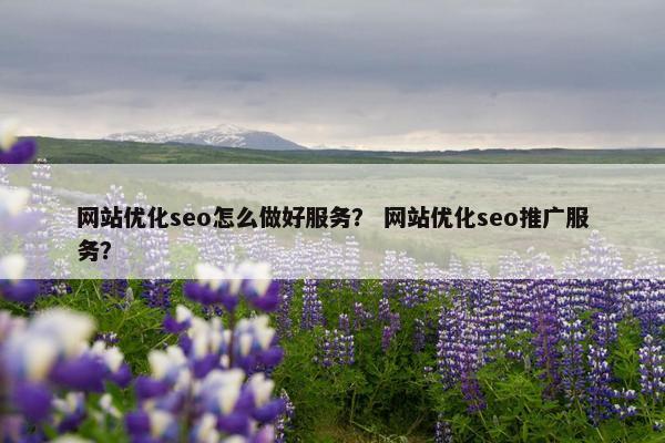 网站优化seo怎么做好服务？ 网站优化seo推广服务？
