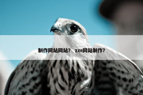 制作网站网站？ zm网站制作？