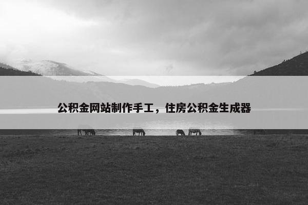 公积金网站制作手工，住房公积金生成器