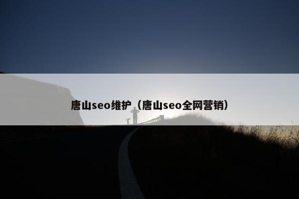 唐山seo维护（唐山seo全网营销）