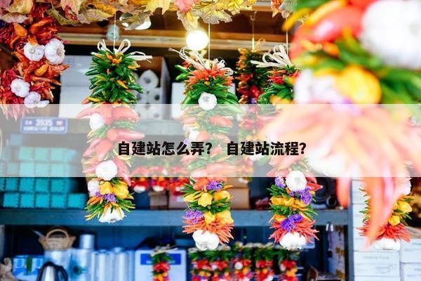 自建站怎么弄？ 自建站流程？