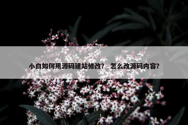 小白如何用源码建站修改？ 怎么改源码内容？