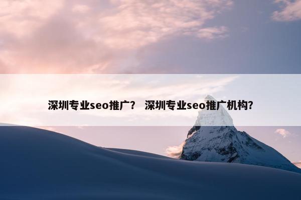 深圳专业seo推广？ 深圳专业seo推广机构？