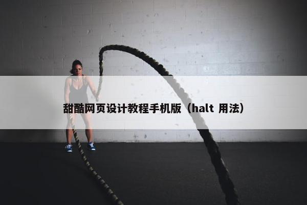 甜酷网页设计教程手机版（halt 用法）
