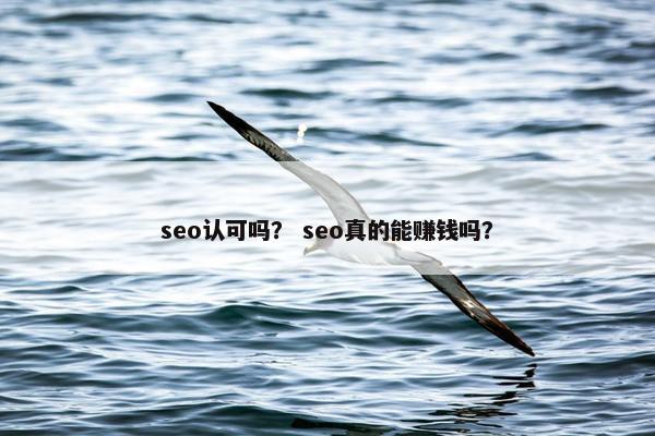 seo认可吗？ seo真的能赚钱吗？