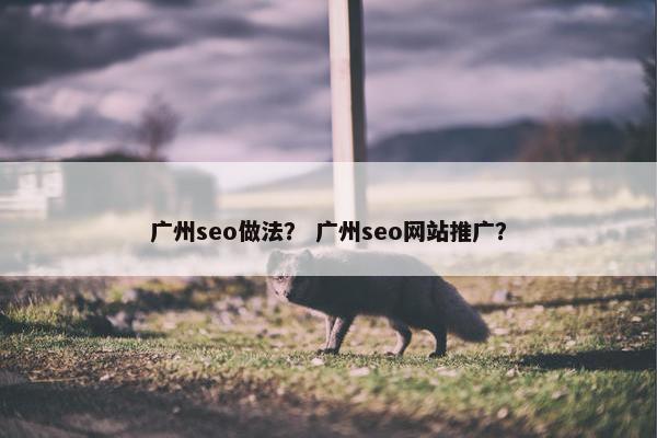 广州seo做法？ 广州seo网站推广？