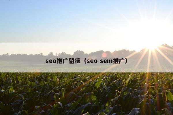 seo推广留痕（seo sem推广）