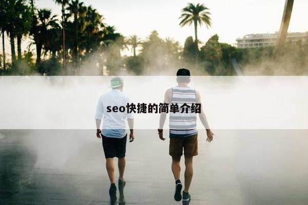 seo快捷的简单介绍